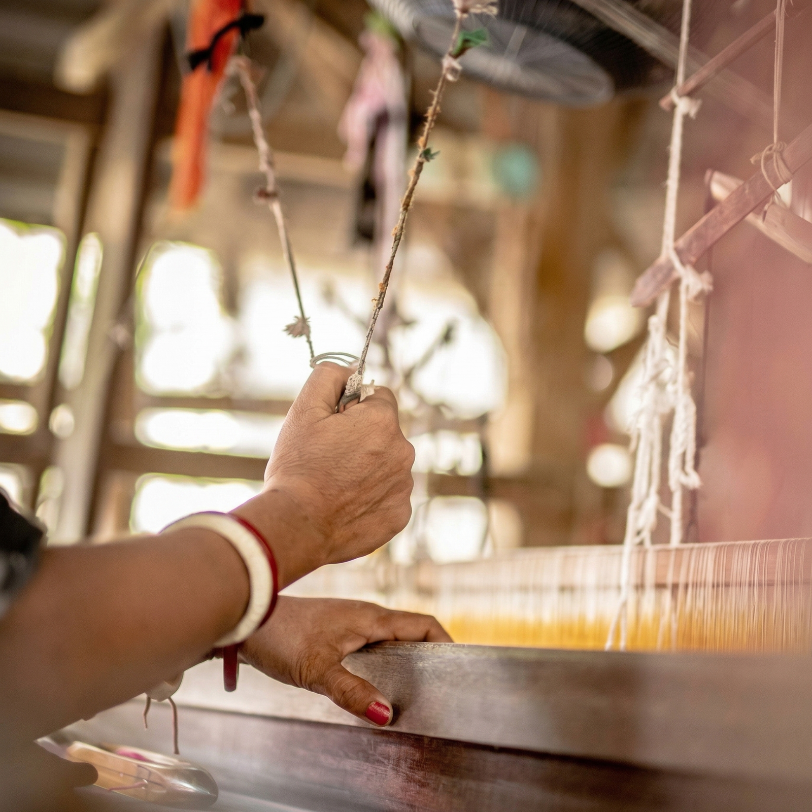 Baya bird inspiration